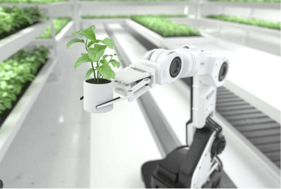 Impact of AI in Agriculture and Food Production
